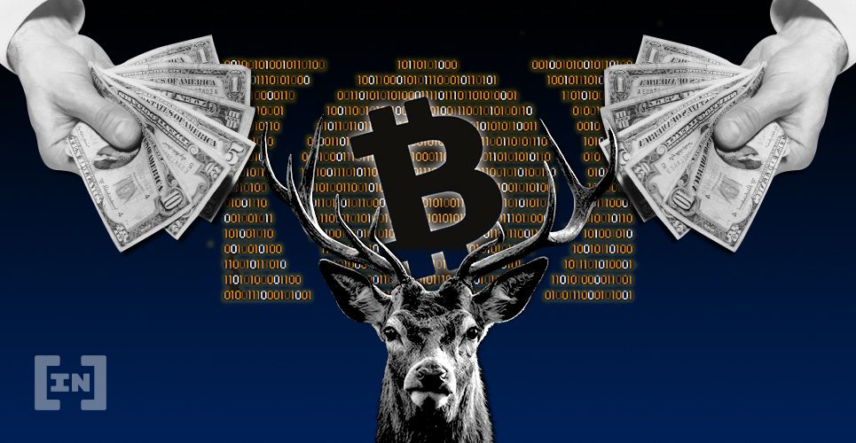 Dlaczego 15 maja to najważniejszy dzień w historii Bitcoin Cash?