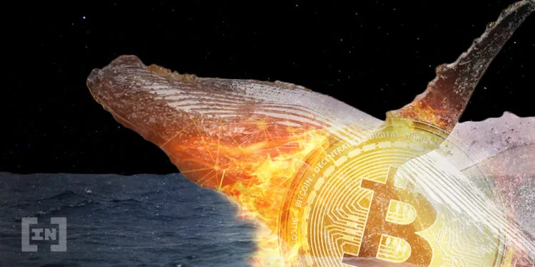 5,500 Bitcoinów (BTC) zostało wysłane na Binance.