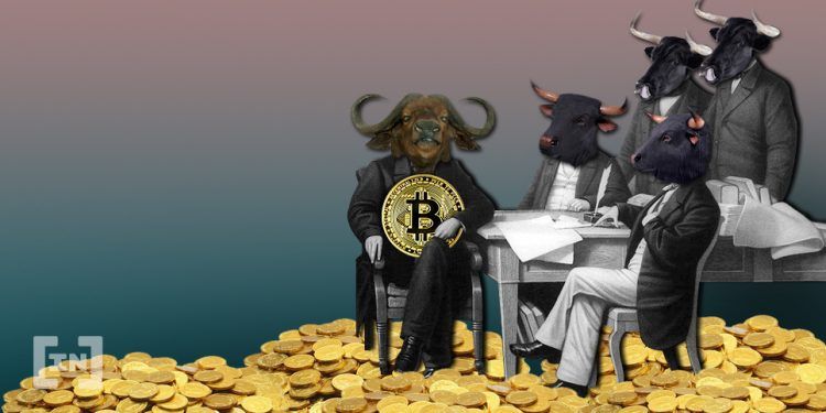 ‘Pozwólmy miliarderom i funduszom hedgingom wykrwawić się’ – mówi bitcoinowy inwestor