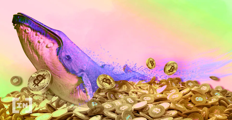 Wieloryb przesyła $361M w Bitcoinie na różne portfele