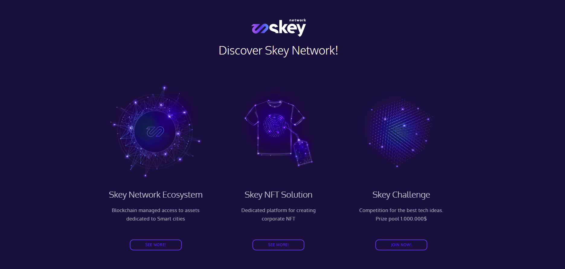 Skey.Network - strona projektu