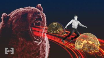 Jak przetrwać bear market? Sposoby na krypto zimę