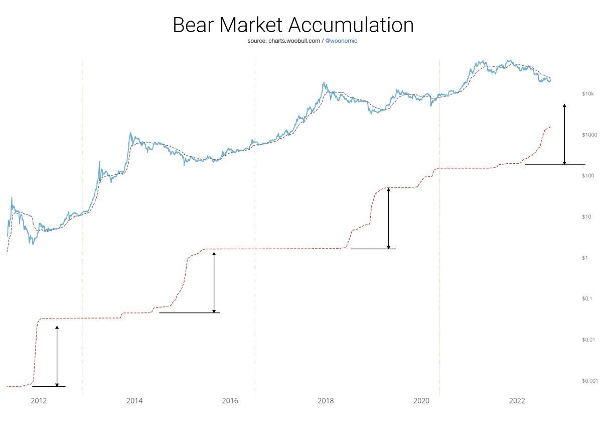 Willy Woo - Bear Market Accumulation