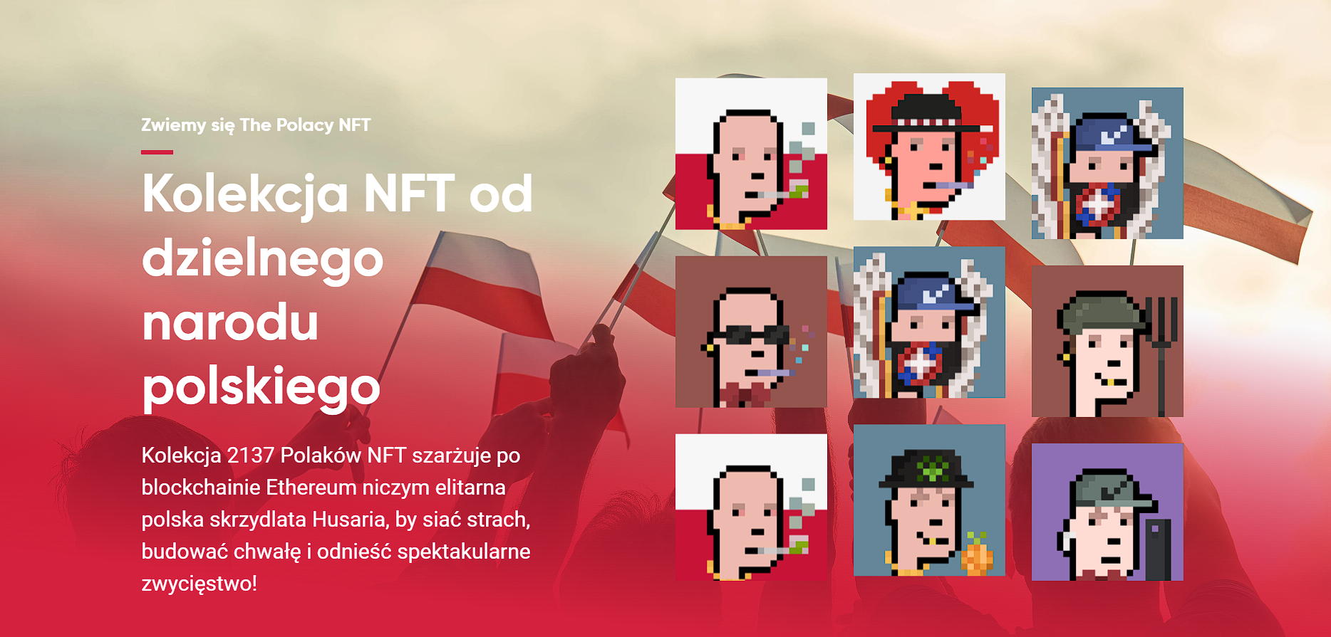 The Polacy NFT - strona internetowa