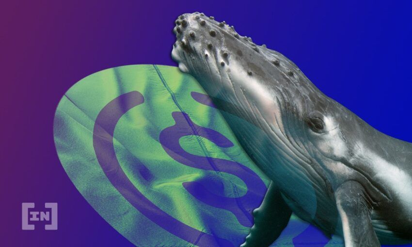 Bitcoinowe wieloryby budzą się ze snu