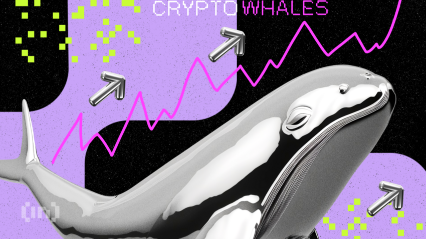 Jakie kryptowaluty kupują wieloryby na czerwiec 2023?