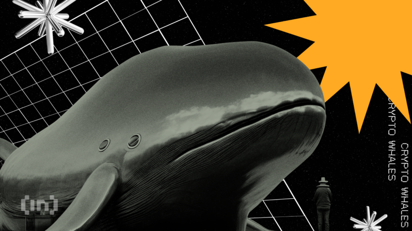 Liczba wielorybów Ethereum spadła po aktualizacji Shapella