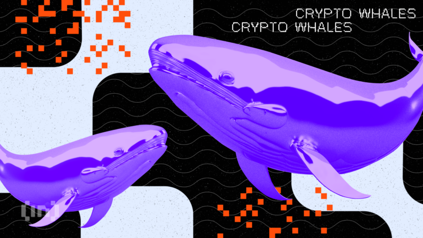 Czy udało się zhackować portfele wielorybów Bitcoina?