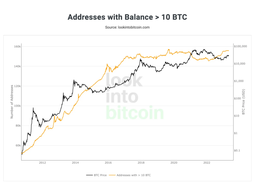 kto ma najwięcej bitcoinów