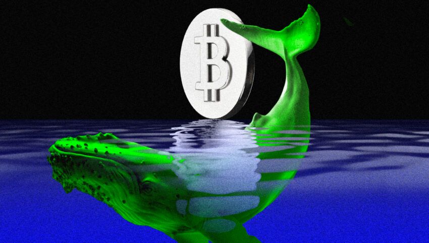 Czy wieloryby wywołają wzrost ceny Bitcoina przed decyzją Fed?