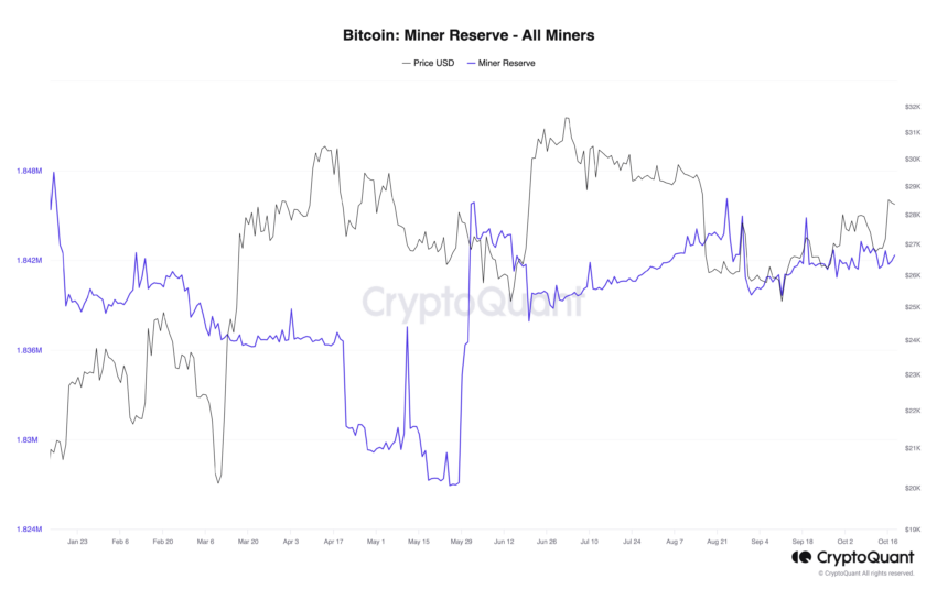 Bitcoin miner, Bitcoin January 20204, Bitcoin analysis