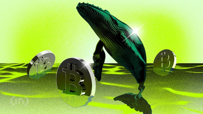 Wieloryby nagle kupują ogromne ilości Bitcoina