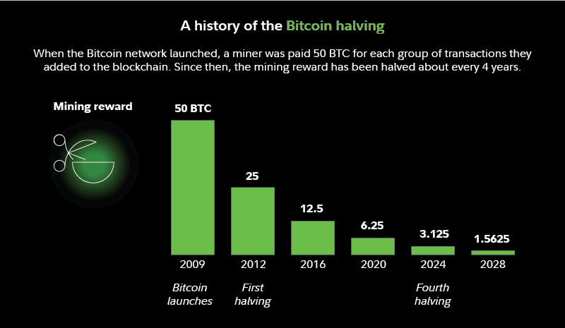 Historia halvingu Bitcoina